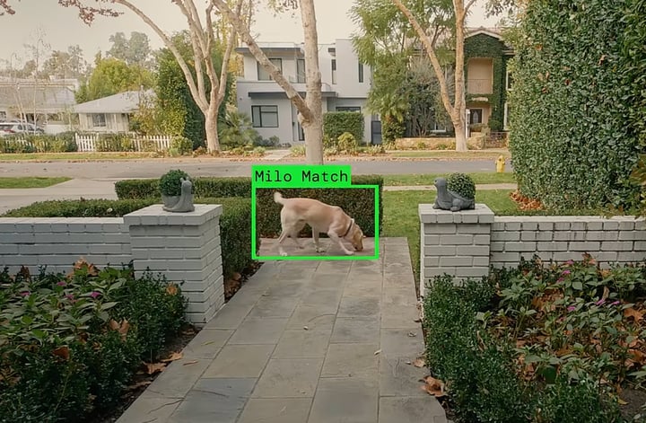 Leaked Email Suggests Ring Plans to Expand ‘Search Party’ Surveillance Beyond Dogs